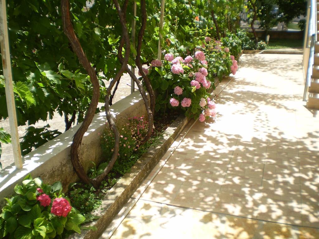 Apartments Tare, Free Parking Водице Номер фото